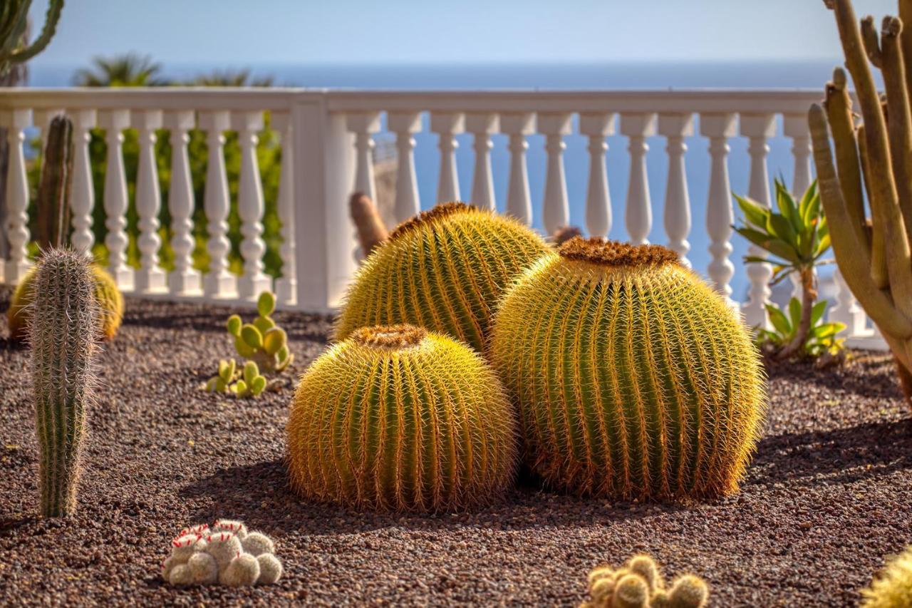 Stunning Villa With Breathtaking Ocean View Mogán エクステリア 写真